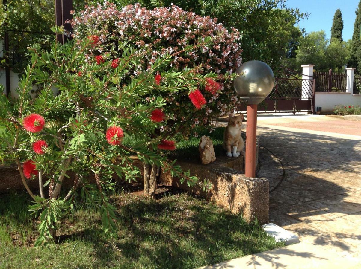 Casa Isabella Apartment พูลา ภายนอก รูปภาพ